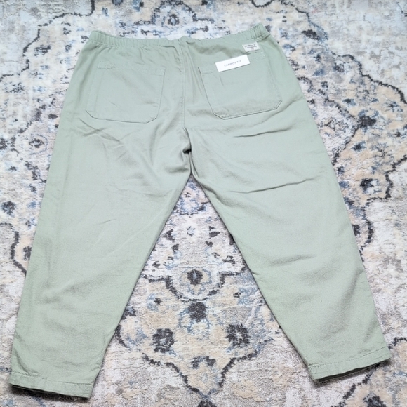 Zara Carrot Fit Light Sage Green Casual Pants XL Relaxed Tapered Leg - Picture 3 of 4